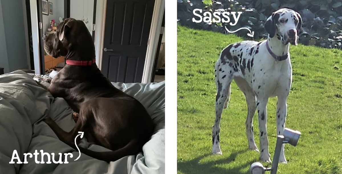 Arthur and Sassy