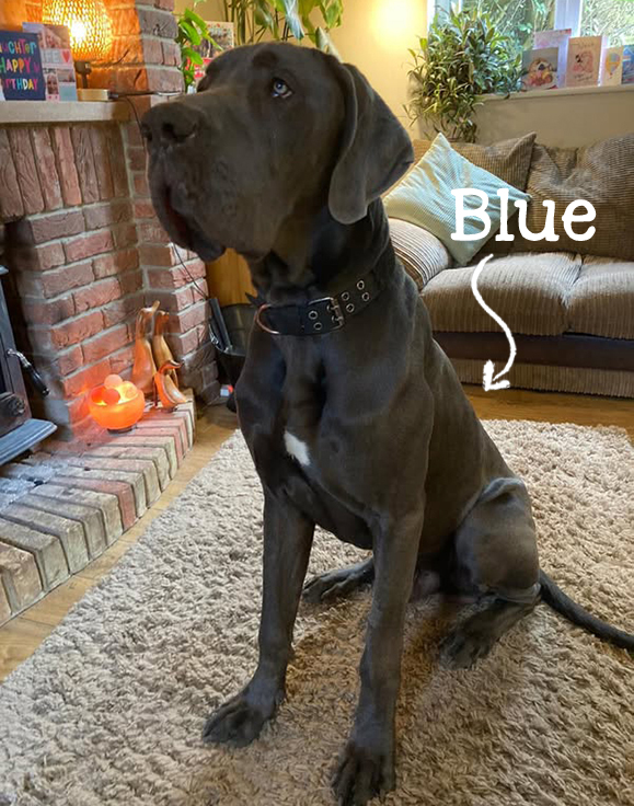 Blue