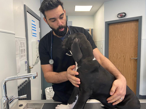 Stanley with vet Dr. Andrew Valenzia