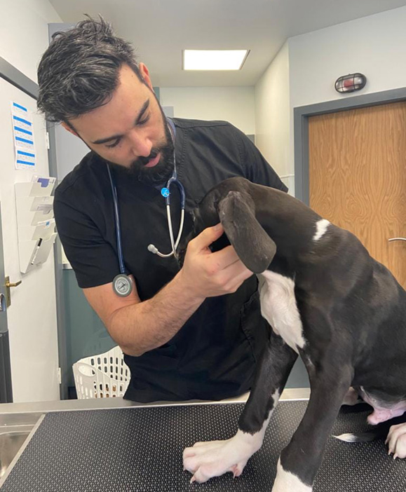 Stanley with vet Dr. Andrew Valenzia